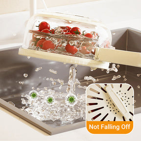 🔥HOT SALE🔥Multipurpose Draining Basket with Lid  2024 NEW 💥